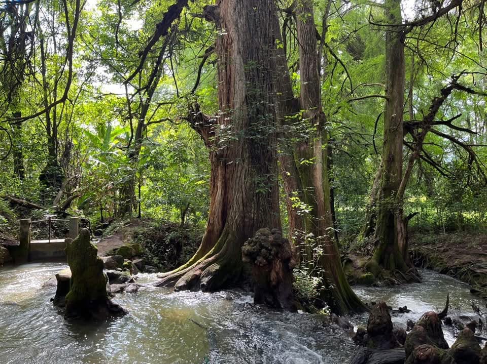 San Sebastián de las Grutas: Caminata Subterránea y Cenote